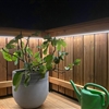 tre_referenz_garten_2.jpg